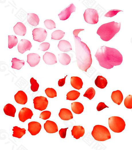 财盈策略 科创板再融资规则出台，“95折”取消、小额融资6日出结果