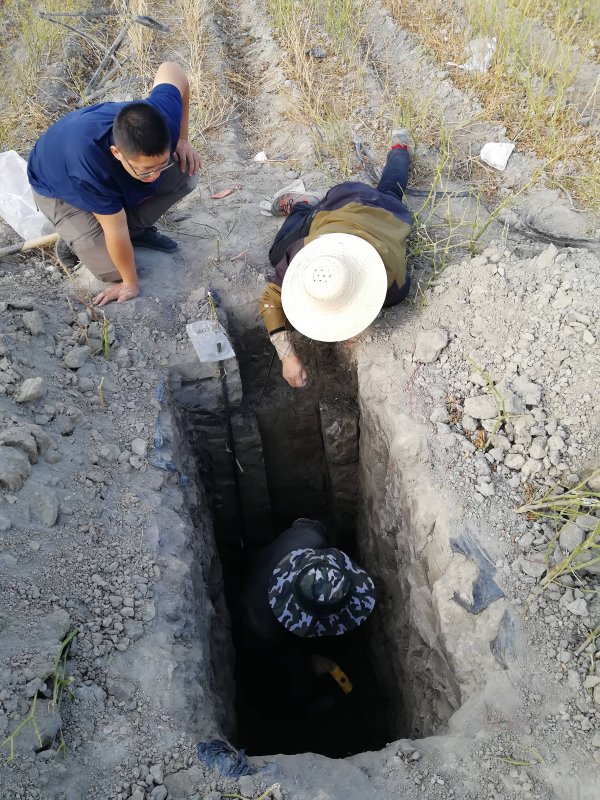 可盈配资 4900万亩富硒土地！新疆南疆发现一条近千公里“硒腰带”