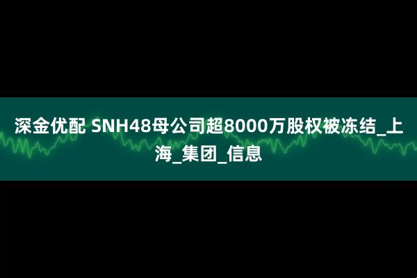 深金优配 SNH48母公司超8000万股权被冻结_上海_集团_信息